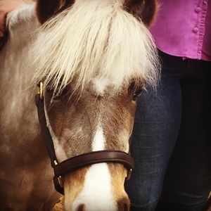 Meet your Posher, Whitney